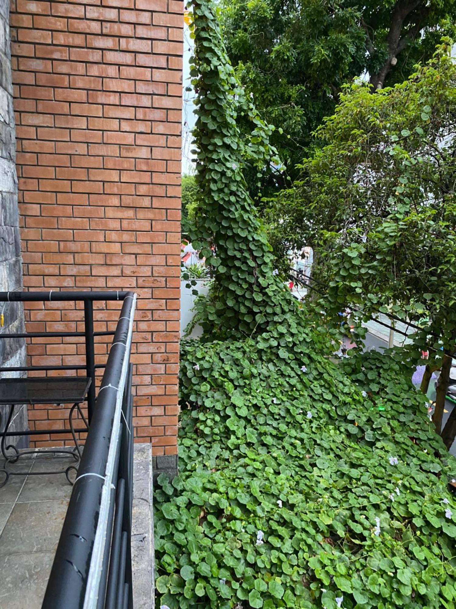 Khach San Minh Chau - Hoa Hung Hotel Ho Chi Minh-Byen Eksteriør billede